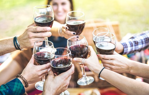 pessac-léognan-pessac-leognan-wine-pessac-leognan-fete-degustation-vins-amis