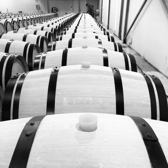 vins-pessac-leognan-l-apprenti-sommelier-actualites-chateau-haut-vigneau-barrique-barriques-blanc