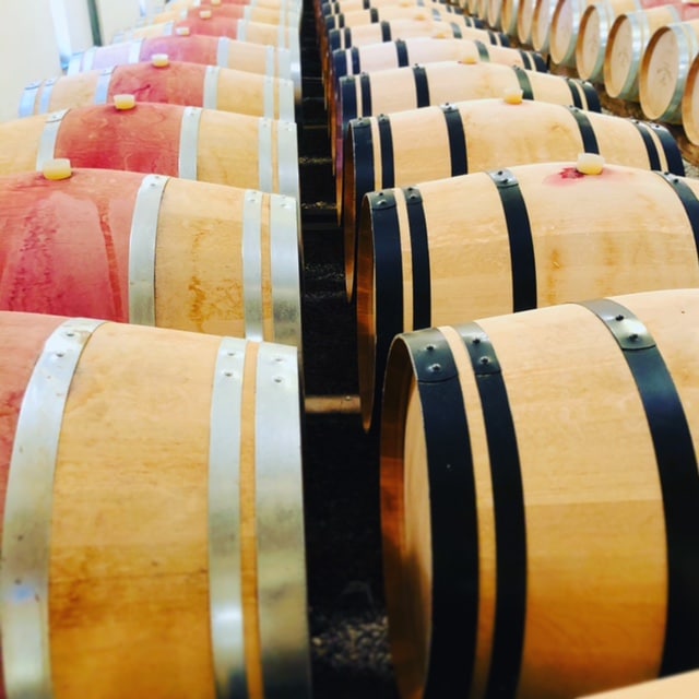 vins-pessac-leognan-l-apprenti-sommelier-actualites-chateau-haut-vigneau-barrique-barriques-rouge