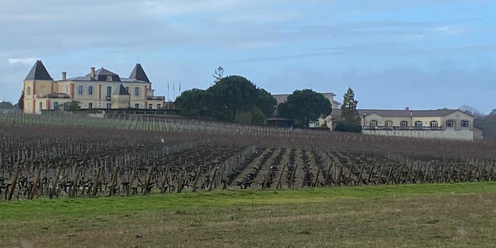 vins-pessac-leognan-l-apprenti-sommelier-château-de-france-vignes-chateau-de-france-domaine