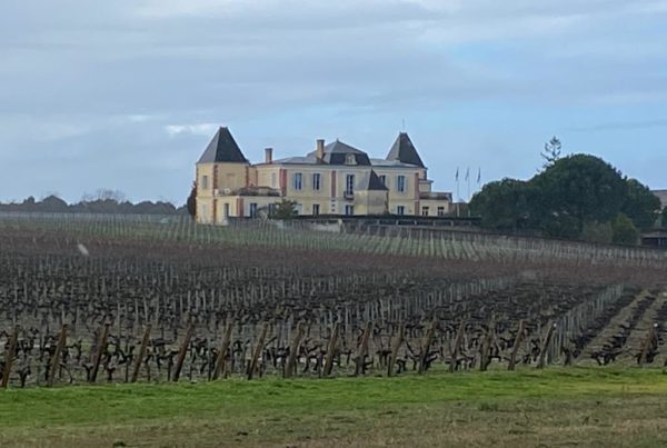 vins-pessac-leognan-l-apprenti-sommelier-chateau-de-france-vignes-4