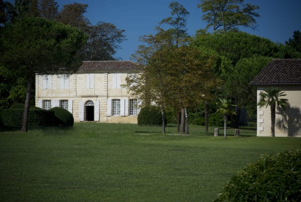 vins-pessac-leognan-l-apprenti-sommelier-chateau-chartreuse-batiment-principal-chartreuse-vignoble-vignes