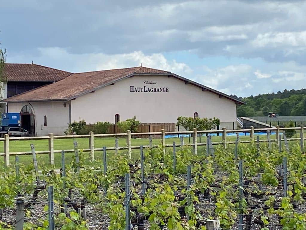 vins-pessac-leognan-l-apprenti-sommelier-actualités-chateau-haut-lagrange-visite-vigne-vignes-vignoble-chai-raisin-barrique-38