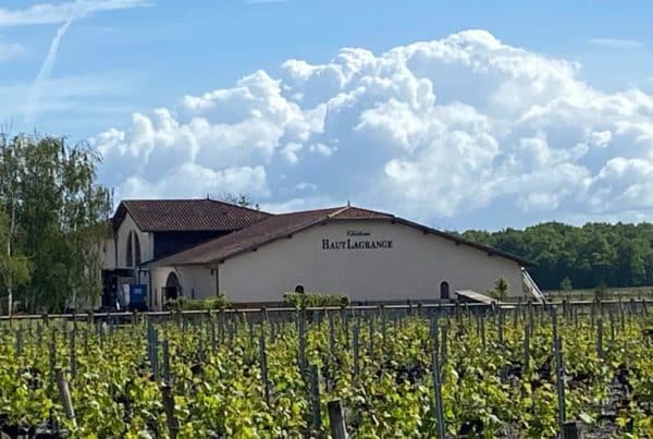 vins-pessac-leognan-l-apprenti-sommelier-actualités-chateau-haut-lagrange-visite-vigne-vignes-vignoble-chai-raisin-barrique-67