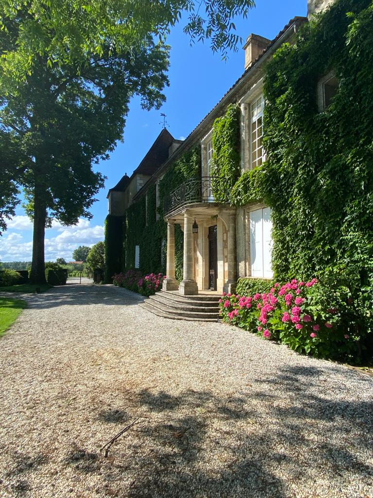 vins-pessac-leognan-l-apprenti-sommelier-chateau-carbonnieux-visite-vin-pessac-leognan-vigne-vignoble-chais-chai-raisins-raisin-11