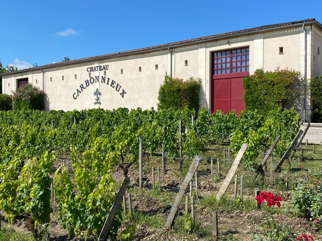 vins-pessac-leognan-l-apprenti-sommelier-chateau-carbonnieux-visite-vin-pessac-leognan-vigne-vignoble-chais-chai-raisins-raisin-8