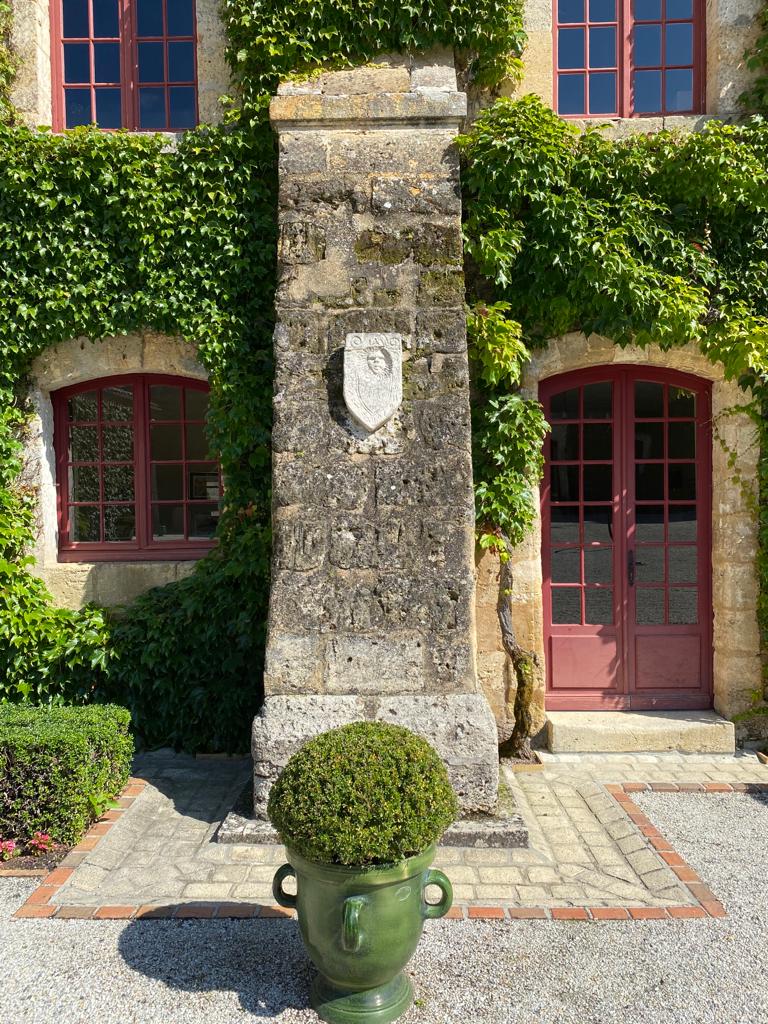 vins-pessac-leognan-l-apprenti-sommelier-chateau-carbonnieux-visite-vin-pessac-leognan-vigne-vignoble-chais-chai-raisins-raisin-grand-cru-classe-10