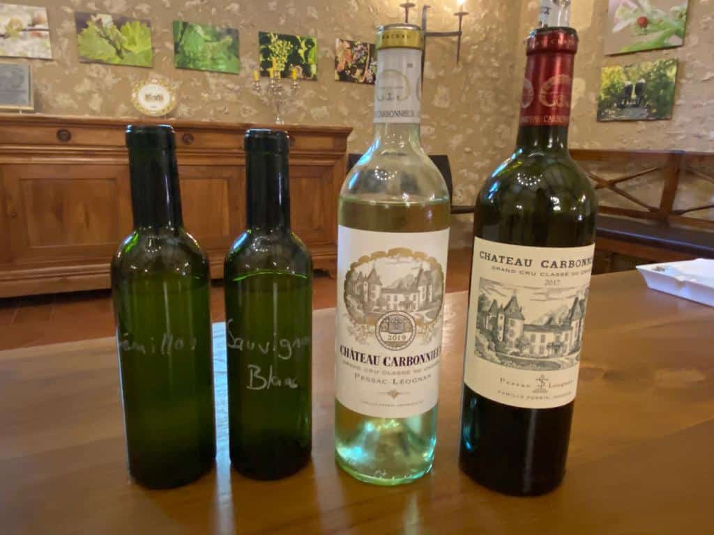 vins-pessac-leognan-l-apprenti-sommelier-chateau-carbonnieux-visite-vin-pessac-leognan-vigne-vignoble-chais-chai-raisins-raisin-grand-cru-classe-11