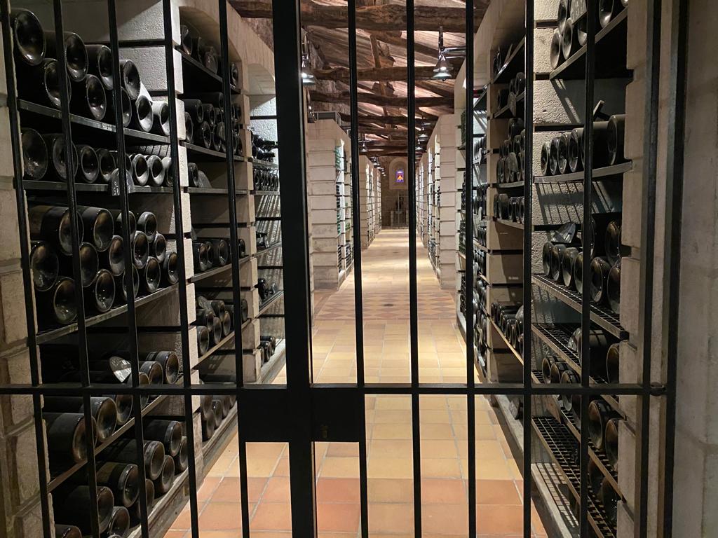 vins-pessac-leognan-l-apprenti-sommelier-chateau-carbonnieux-visite-vin-pessac-leognan-vigne-vignoble-chais-chai-raisins-raisin-grand-cru-classe-18