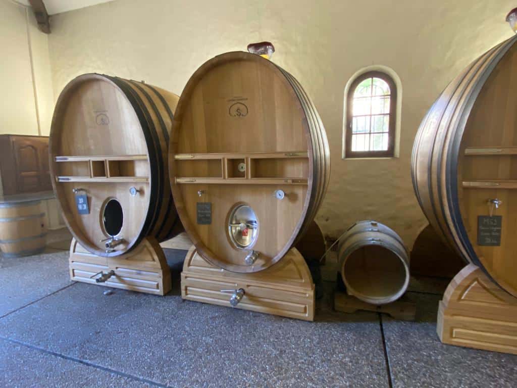 vins-pessac-leognan-l-apprenti-sommelier-chateau-carbonnieux-visite-vin-pessac-leognan-vigne-vignoble-chais-chai-raisins-raisin-grand-cru-classe-25