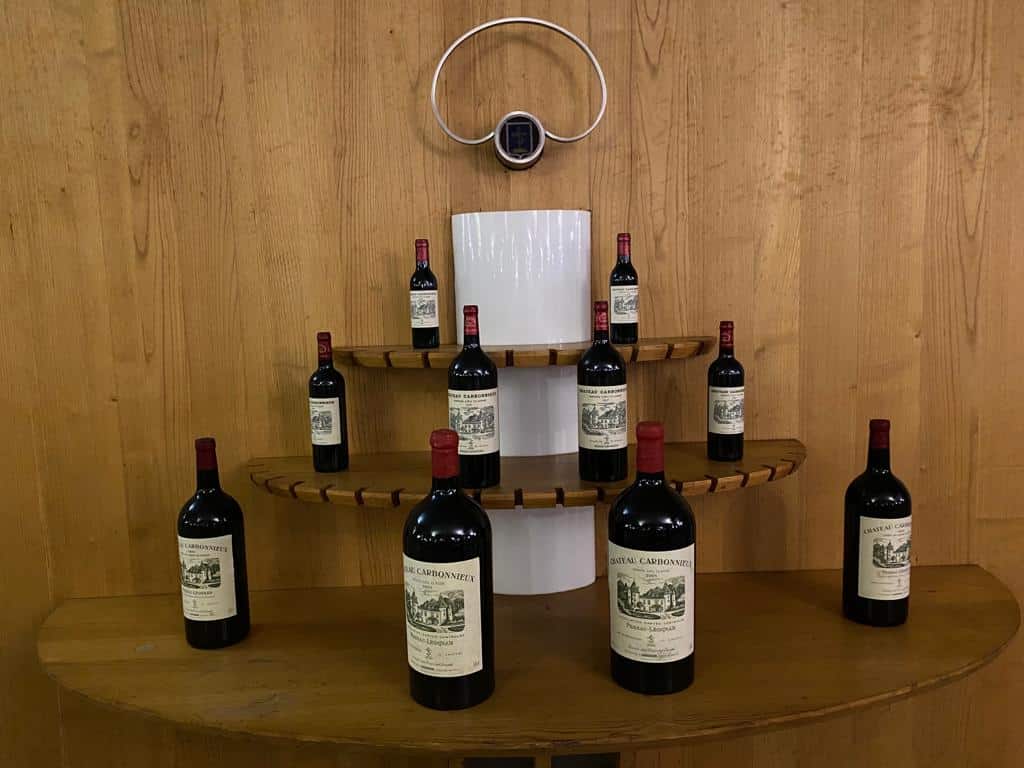 vins-pessac-leognan-l-apprenti-sommelier-chateau-carbonnieux-visite-vin-pessac-leognan-vigne-vignoble-chais-chai-raisins-raisin-grand-cru-classe-33