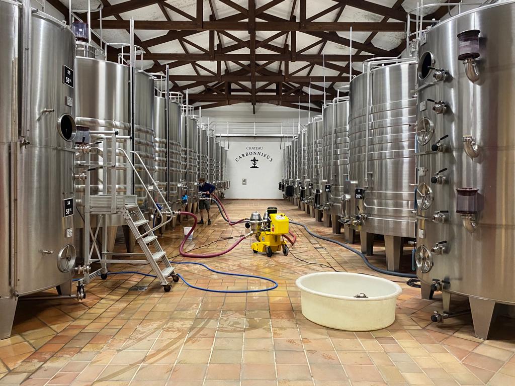 vins-pessac-leognan-l-apprenti-sommelier-chateau-carbonnieux-visite-vin-pessac-leognan-vigne-vignoble-chais-chai-raisins-raisin-grand-cru-classe-46