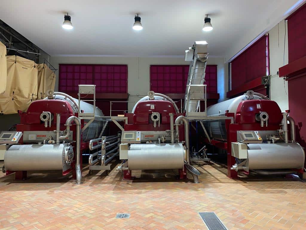 vins-pessac-leognan-l-apprenti-sommelier-chateau-carbonnieux-visite-vin-pessac-leognan-vigne-vignoble-chais-chai-raisins-raisin-grand-cru-classe-47