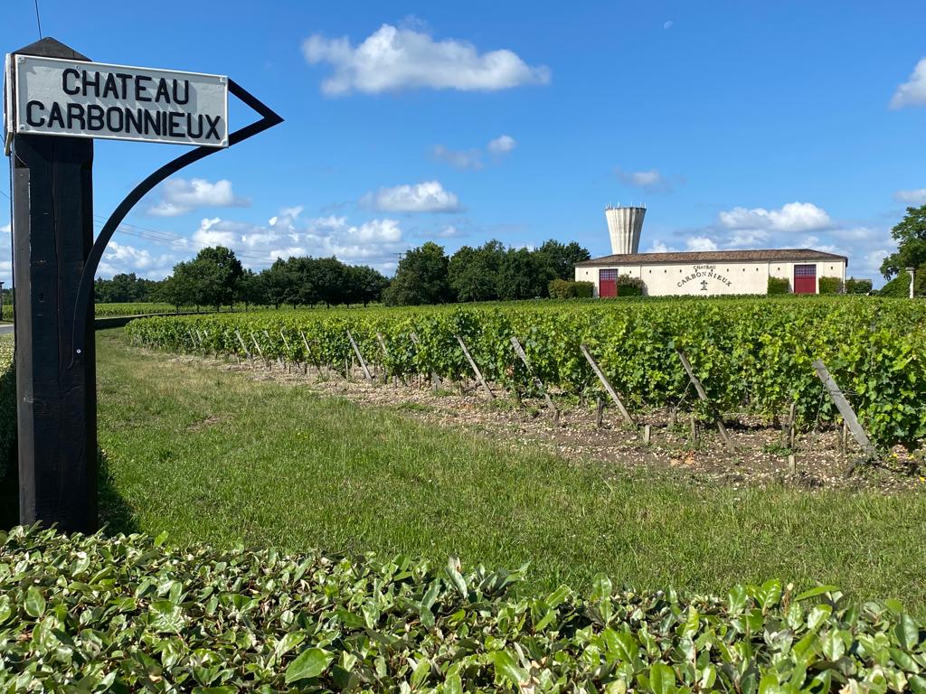 vins-pessac-leognan-l-apprenti-sommelier-chateau-carbonnieux-visite-vin-pessac-leognan-vigne-vignoble-chais-chai-raisins-raisin