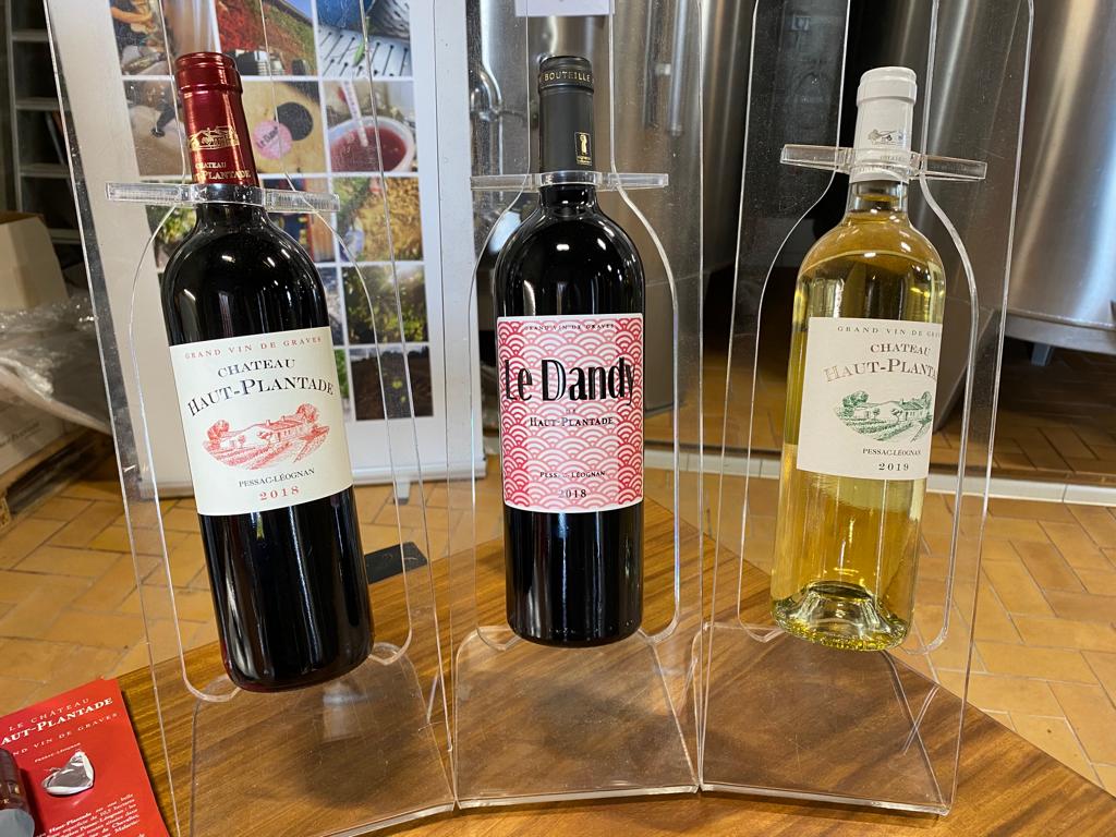 vins-pessac-leognan-l-apprenti-sommelier-chateau-haut-plantade-visite-vin-pessac-leognan-vigne-vignoble-chais-chai-raisins-raisin-propriete-vin-blanc-vin-rouge-16