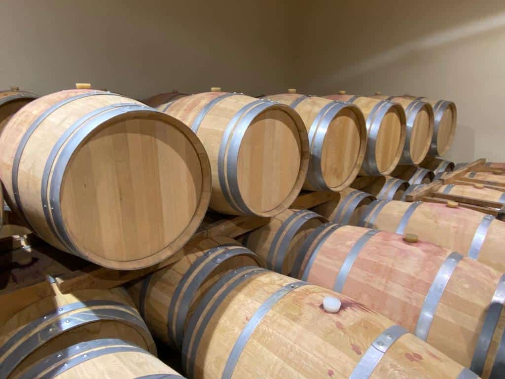 vins-pessac-leognan-l-apprenti-sommelier-chateau-haut-plantade-visite-vin-pessac-leognan-vigne-vignoble-chais-chai-raisins-raisin-propriete-vin-blanc-vin-rouge-29