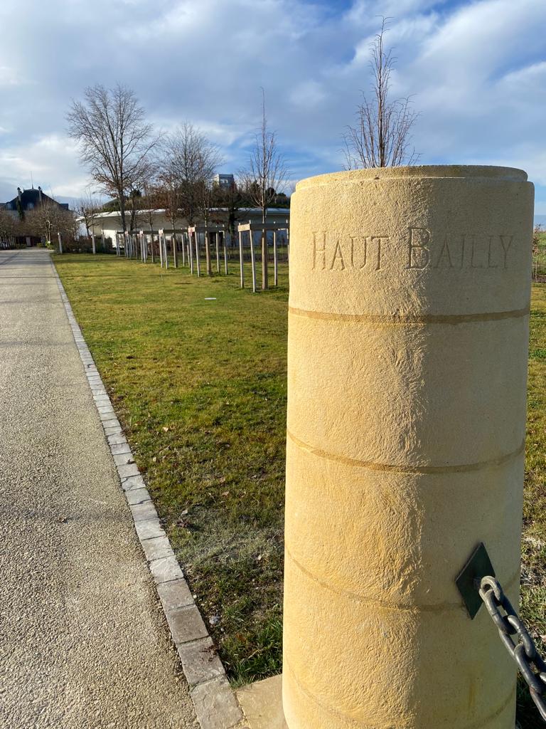 vins-pessac-leognan-l-apprenti-sommelier-chateau-haut-bailly-visite-vignoble-chais-chai-vignes-vigne-vignoble-vin-pessac-leognan-2