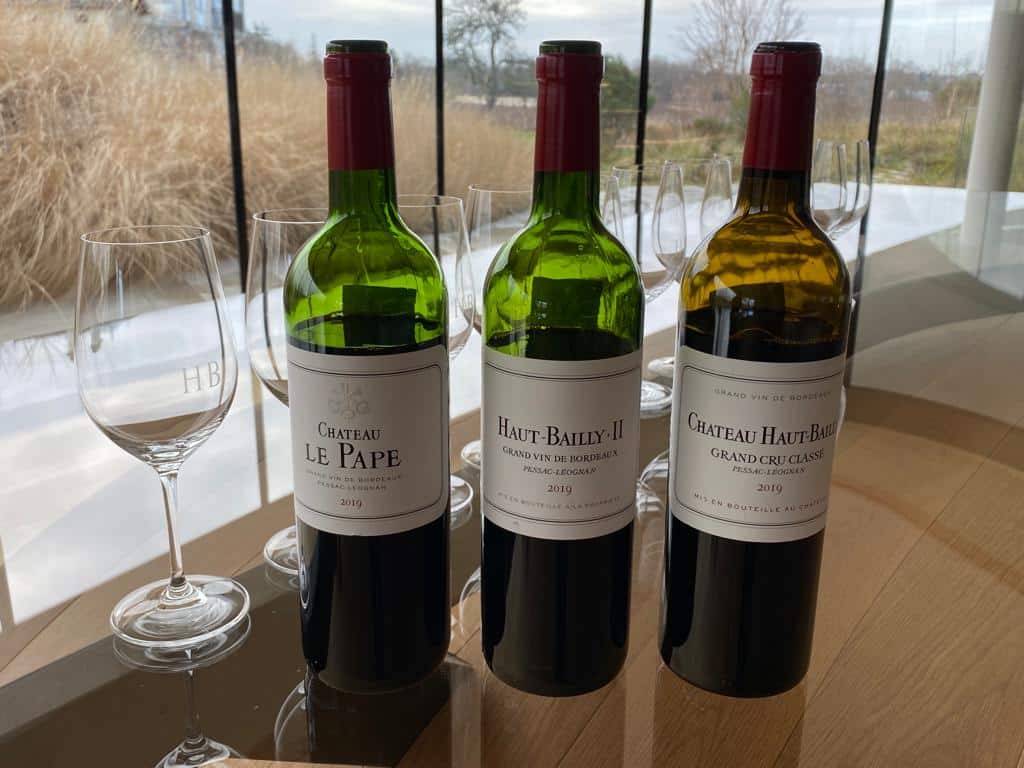 vins-pessac-leognan-l-apprenti-sommelier-chateau-haut-bailly-visite-vignoble-chais-chai-vignes-vigne-vignoble-vin-pessac-leognan-25