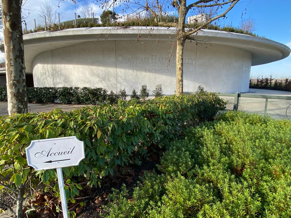 vins-pessac-leognan-l-apprenti-sommelier-chateau-haut-bailly-visite-vignoble-chais-chai-vignes-vigne-vignoble-vin-pessac-leognan-110