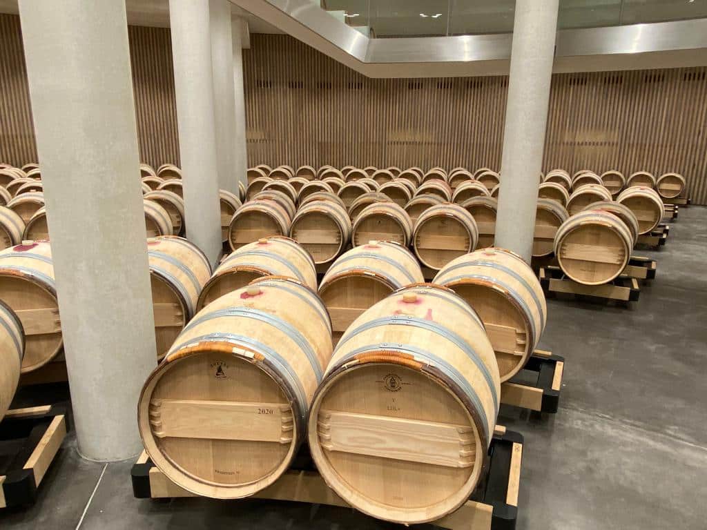 vins-pessac-leognan-l-apprenti-sommelier-chateau-haut-bailly-visite-vignoble-chais-chai-vignes-vigne-vignoble-vin-pessac-leognan-47