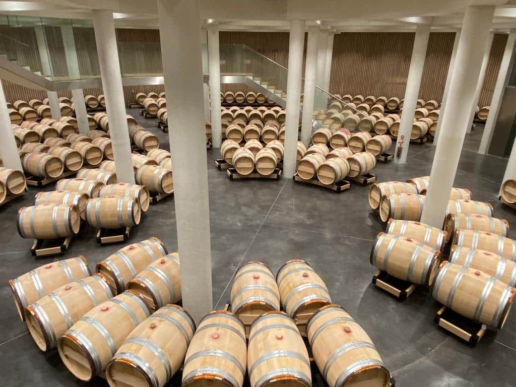 vins-pessac-leognan-l-apprenti-sommelier-chateau-haut-bailly-visite-vignoble-chais-chai-vignes-vigne-vignoble-vin-pessac-leognan-49