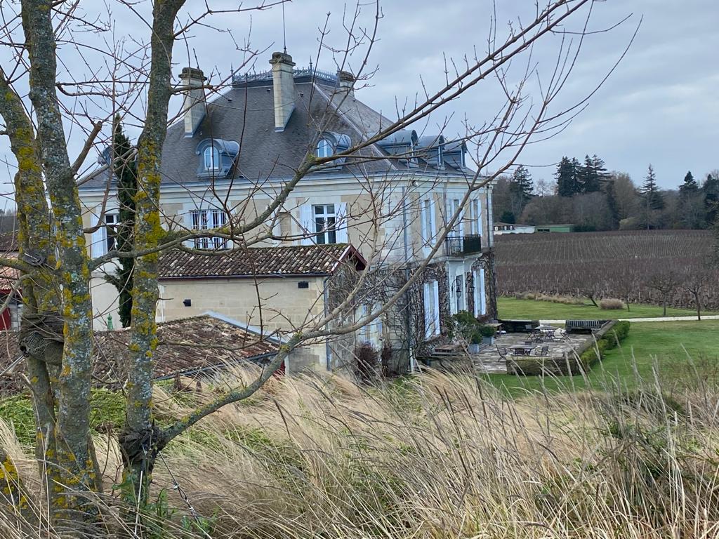 vins-pessac-leognan-l-apprenti-sommelier-chateau-haut-bailly-visite-vignoble-chais-chai-vignes-vigne-vignoble-vin-pessac-leognan-7