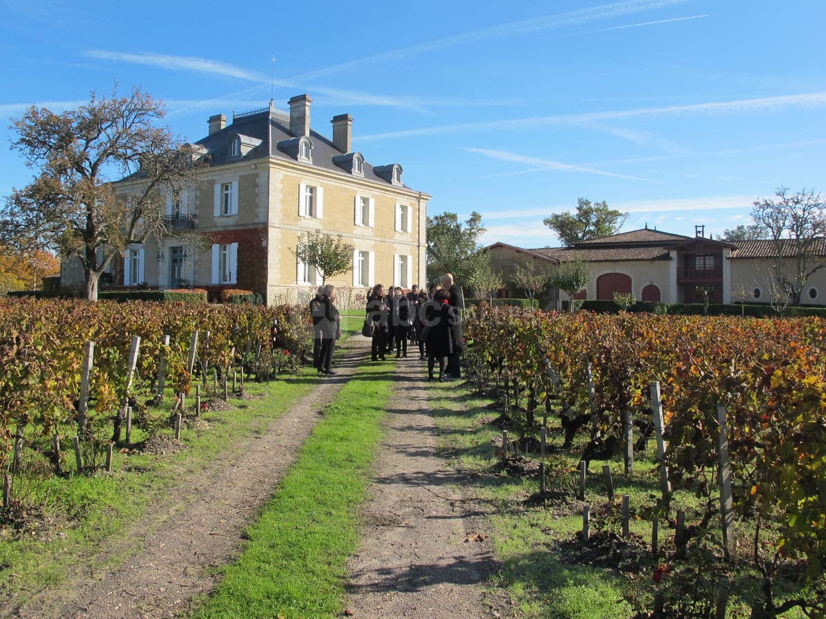 vins-pessac-leognan-l-apprenti-sommelier-chateau-haut-bailly-vin-pessac-leognan-millesime-chai-chais-vignoble-raisin-raisins