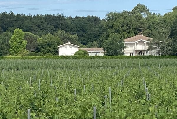 vins-pessac-leognan-l-apprenti-sommelier-chateau-seguin-visite-chais-chai-vigne-vignoble-vin-pessac-leognan-millesime-45