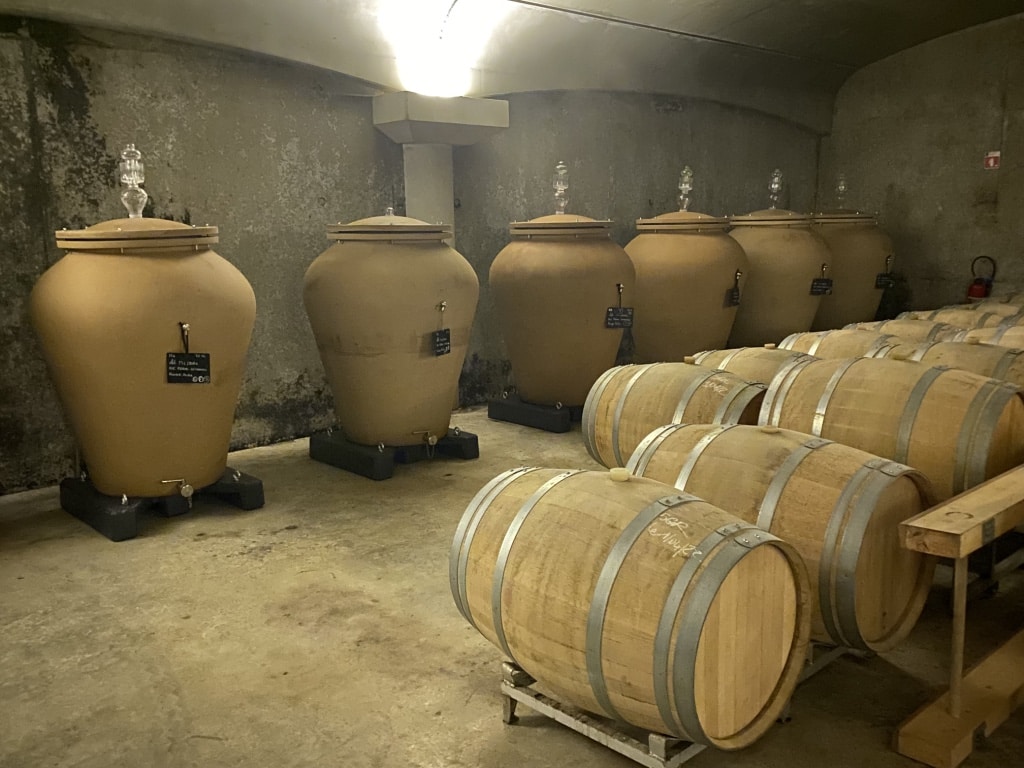 vins-pessac-leognan-l-apprenti-sommelier-chateau-la-garde-visite-chateau-lagarde-visite-chais-chai-vigne-vignoble-vin-pessac-leognan-millesime-21