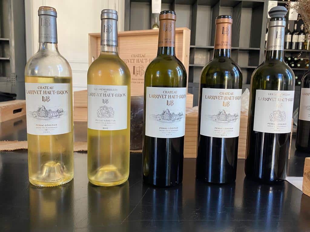 vins-pessac-leognan-vin-pessac-leognan-chateau-larrivet-haut-brion-visite-chai-chais-vigne-vignes-vignoble-vin-blanc-vin-rouge-56