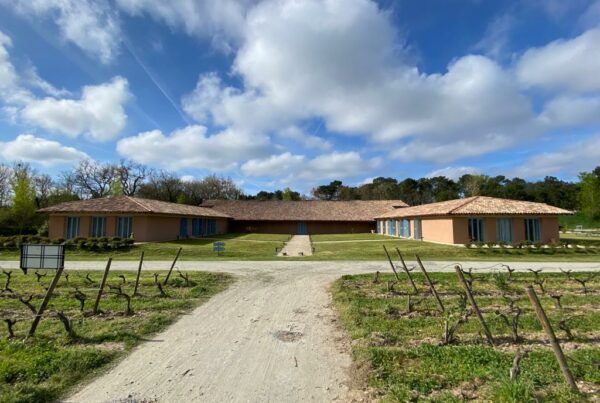 l-apprenti-sommelier-vins-pessac-leognan-vin-pessac-leognan-chateau-d-eyran-visite-chai-chais-vigne-vignes-vignoble-vin-blanc-vin-rouge-graves-37