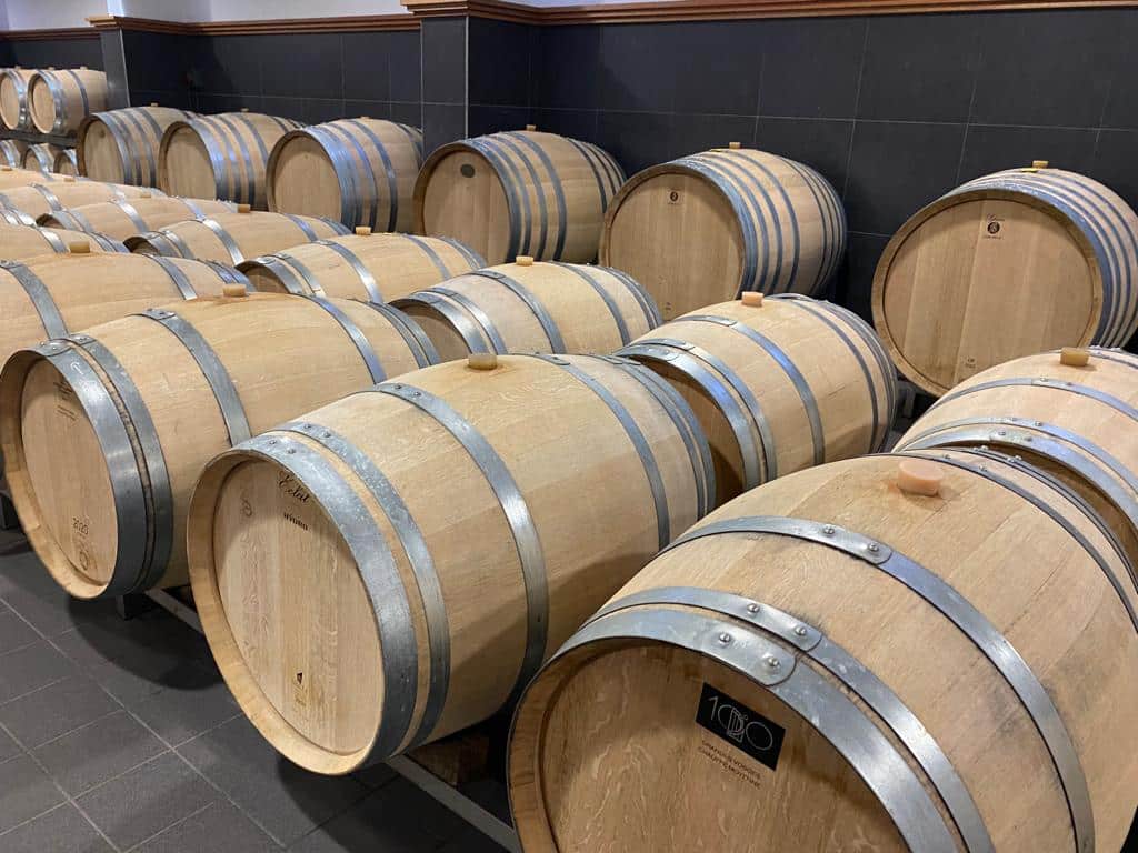 l-apprenti-sommelier-vins-pessac-leognan-vin-pessac-leognan-chateau-la-louviere-visite-chai-chais-vigne-vignes-vignoble-vin-blanc-vin-rouge-graves-14