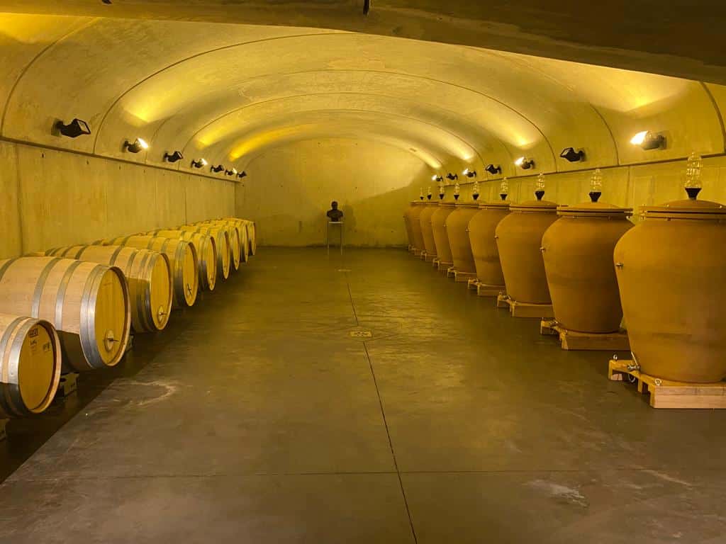 l-apprenti-sommelier-vins-pessac-leognan-vin-pessac-leognan-chateau-la-louviere-visite-chai-chais-vigne-vignes-vignoble-vin-blanc-vin-rouge-graves-20