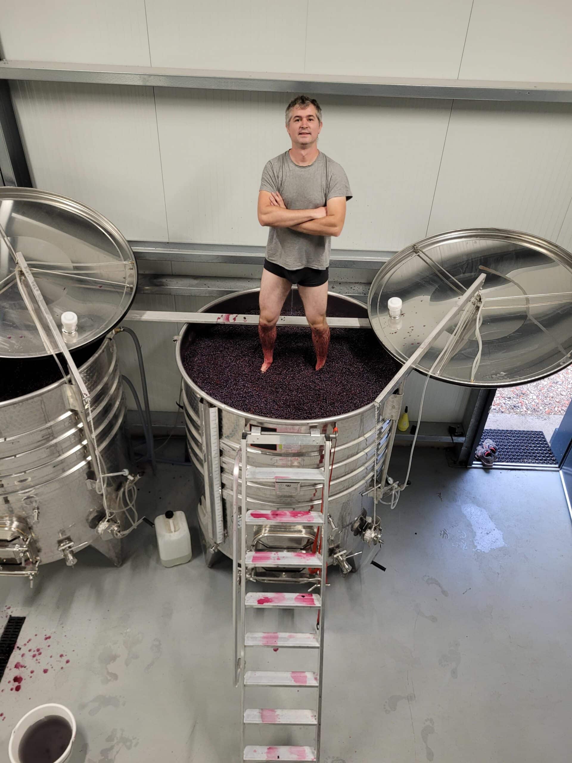 vins-pessac-leognan-vin-pessac-leognan-domaine-de-mauriet-visite-chai-chais-vigne-vignes-vignoble-vin-blanc-vin-rouge-vin-bio-04