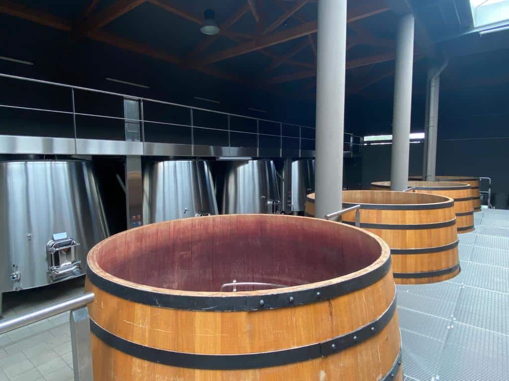 vins-pessac-leognan-vin-pessac-leognan-chateau-de-fieuzal-visite-chai-chais-vigne-vignes-vignoble-vin-blanc-vin-rouge-grand-cru-classe-de-graves-03