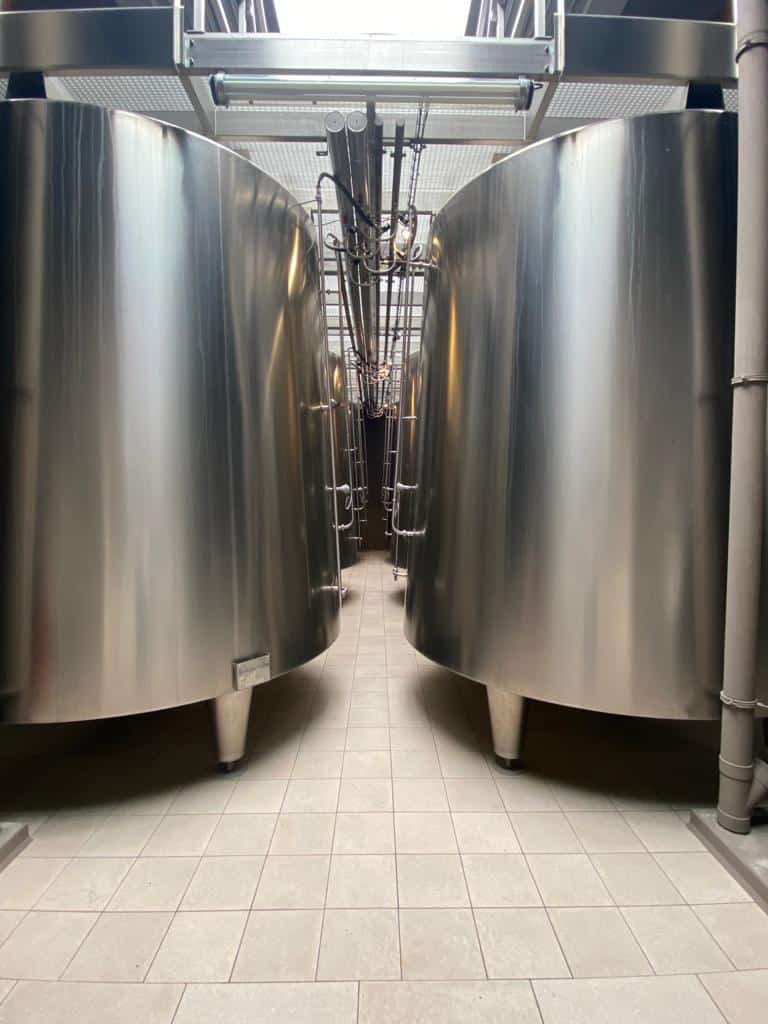 vins-pessac-leognan-vin-pessac-leognan-chateau-de-fieuzal-visite-chai-chais-vigne-vignes-vignoble-vin-blanc-vin-rouge-grand-cru-classe-de-graves-05