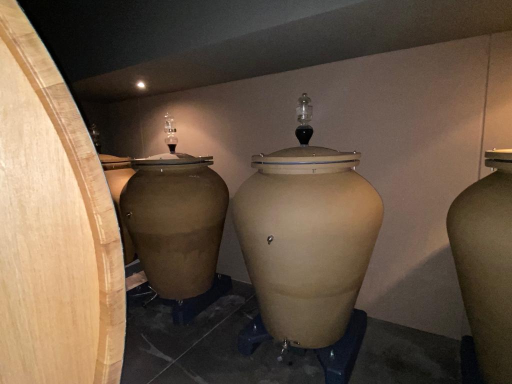 vins-pessac-leognan-vin-pessac-leognan-chateau-de-fieuzal-visite-chai-chais-vigne-vignes-vignoble-vin-blanc-vin-rouge-grand-cru-classe-de-graves-14