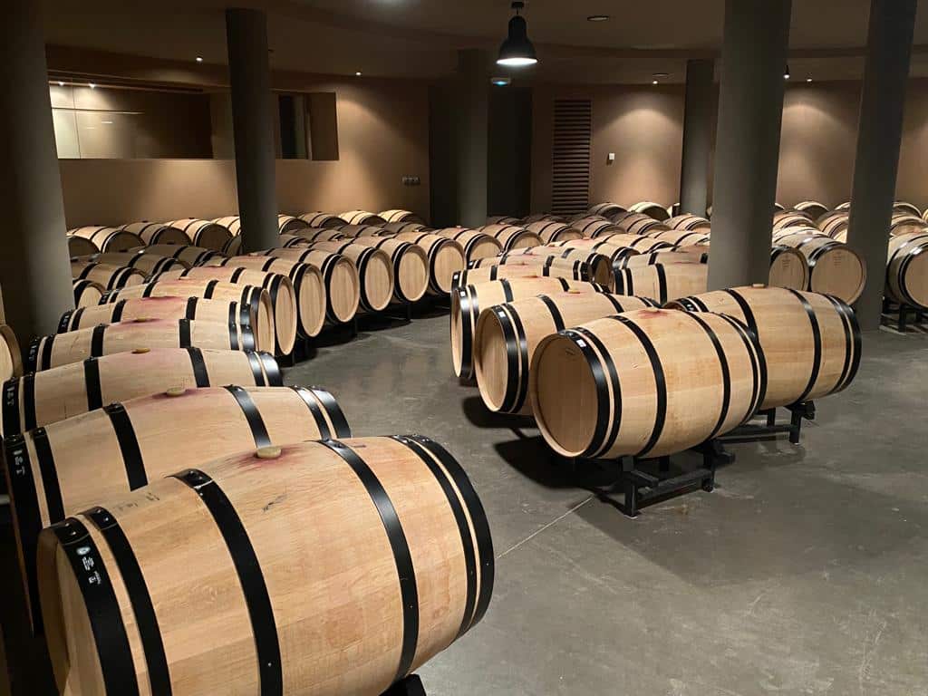 vins-pessac-leognan-vin-pessac-leognan-chateau-de-fieuzal-visite-chai-chais-vigne-vignes-vignoble-vin-blanc-vin-rouge-grand-cru-classe-de-graves-16