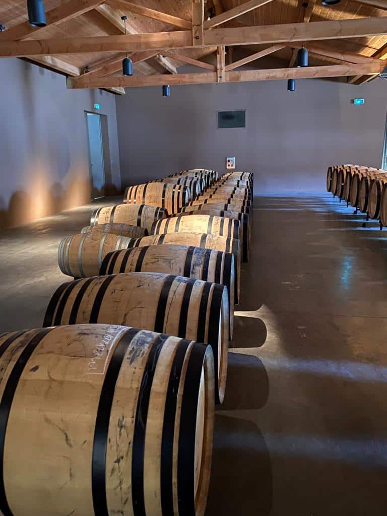 vins-pessac-leognan-vin-pessac-leognan-chateau-de-fieuzal-visite-chai-chais-vigne-vignes-vignoble-vin-blanc-vin-rouge-grand-cru-classe-de-graves-19