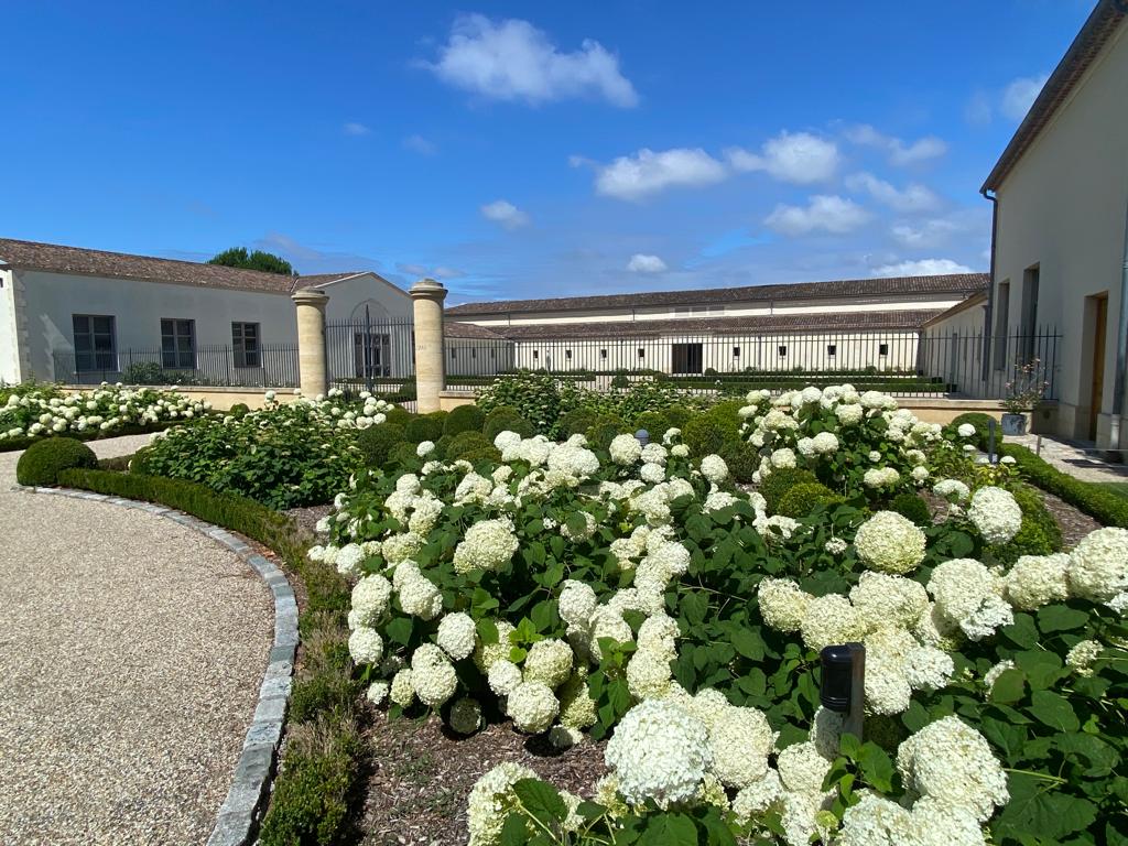 vins-pessac-leognan-vin-pessac-leognan-chateau-de-fieuzal-visite-chai-chais-vigne-vignes-vignoble-vin-blanc-vin-rouge-grand-cru-classe-de-graves-30