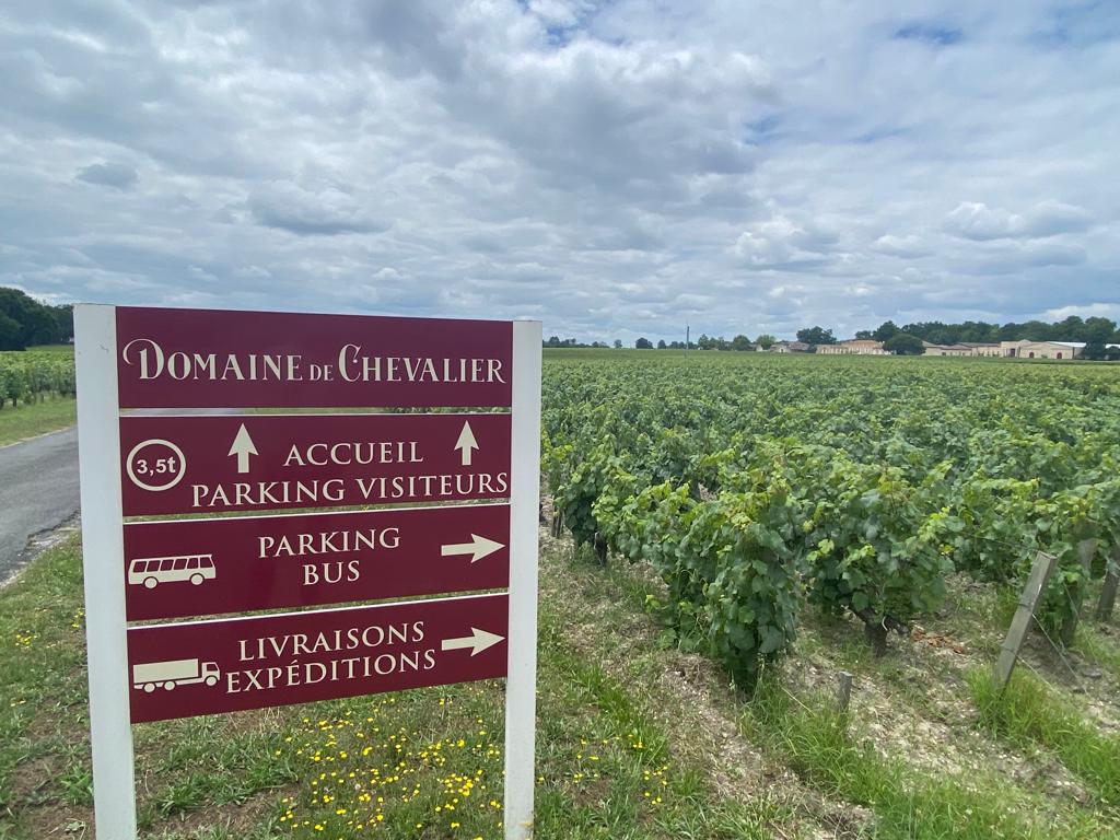 vins-pessac-leognan-vin-pessac-leognan-domaine-de-chevalier-visite-chai-chais-vigne-vignes-vignoble-vin-blanc-vin-rouge-grand-cru-classe-de-graves-1