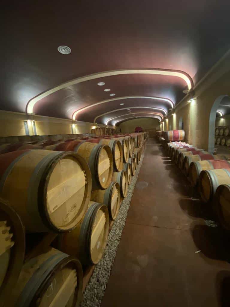 vins-pessac-leognan-vin-pessac-leognan-domaine-de-chevalier-visite-chai-chais-vigne-vignes-vignoble-vin-blanc-vin-rouge-grand-cru-classe-de-graves-16