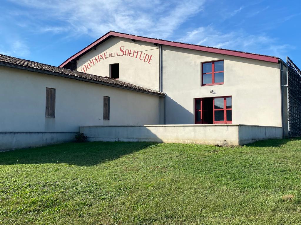 vins-pessac-leognan-vin-pessac-leognan-domaine-de-la-solitude-visite-chai-chais-vigne-vignes-vignoble-vin-blanc-vin-rouge-olivier-bernard-25