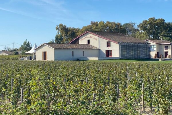 vins-pessac-leognan-vin-pessac-leognan-domaine-de-la-solitude-visite-chai-chais-vigne-vignes-vignoble-vin-blanc-vin-rouge-olivier-bernard-29