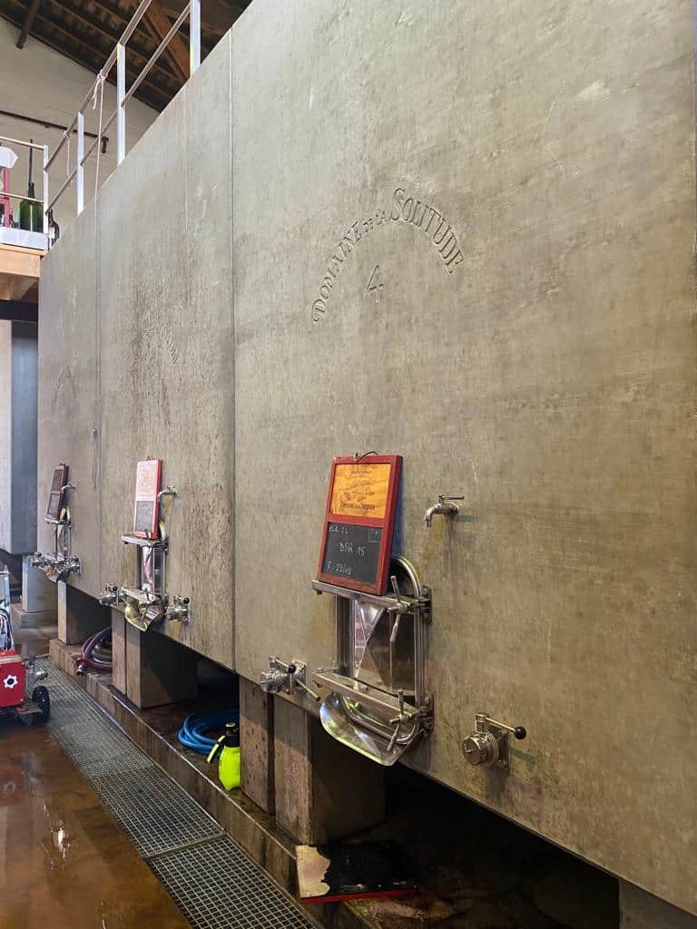 vins-pessac-leognan-vin-pessac-leognan-domaine-de-la-solitude-visite-chai-chais-vigne-vignes-vignoble-vin-blanc-vin-rouge-olivier-bernard-3