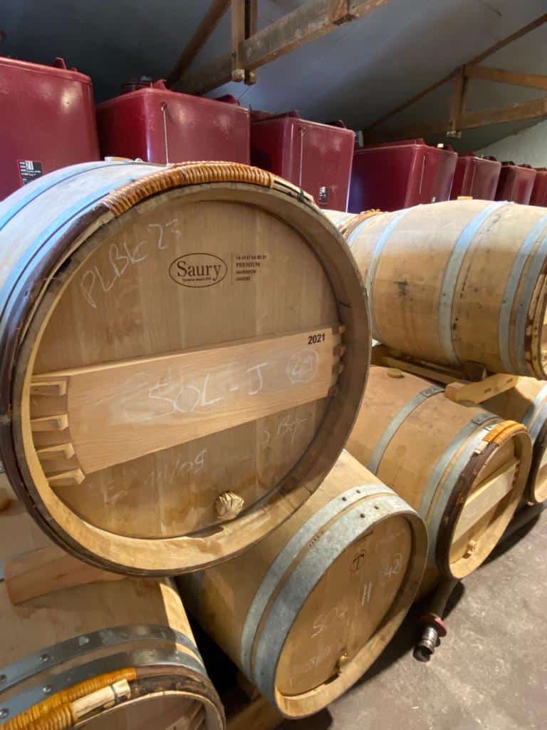 vins-pessac-leognan-vin-pessac-leognan-domaine-de-la-solitude-visite-chai-chais-vigne-vignes-vignoble-vin-blanc-vin-rouge-olivier-bernard-5