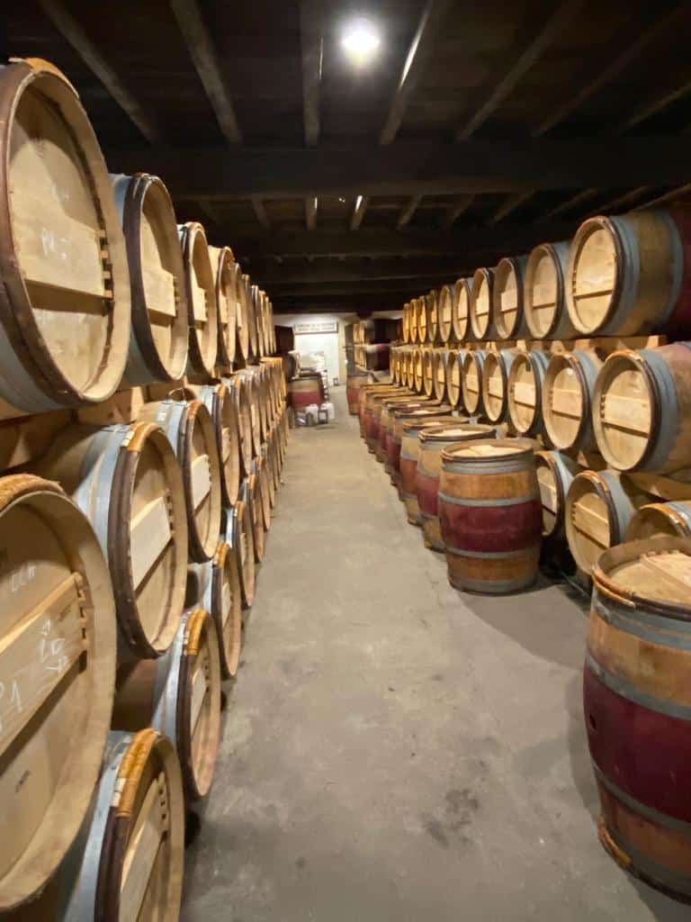 vins-pessac-leognan-vin-pessac-leognan-domaine-de-la-solitude-visite-chai-chais-vigne-vignes-vignoble-vin-blanc-vin-rouge-olivier-bernard-5