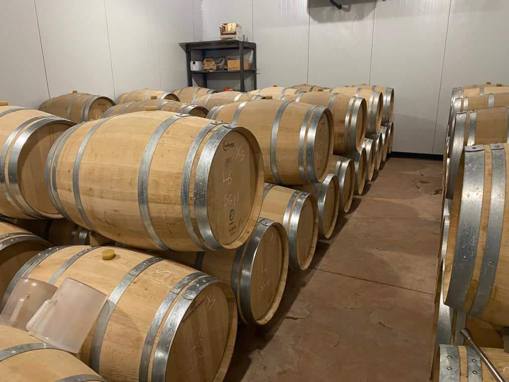 vins-pessac-leognan-vin-pessac-leognan-chateau-lafargue-visite-chai-chais-vigne-vignes-vignoble-vin-blanc-vin-rouge-grand-cru-classe-de-graves-16