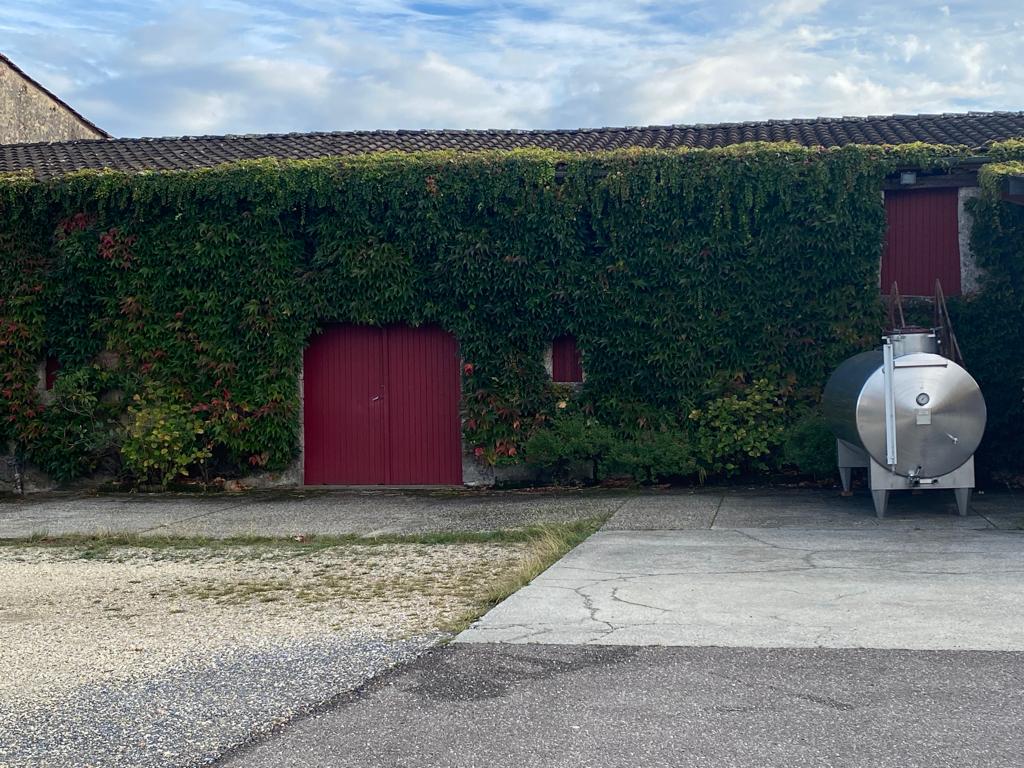vins-pessac-leognan-vin-pessac-leognan-chateau-lafargue-visite-chai-chais-vigne-vignes-vignoble-vin-blanc-vin-rouge-grand-cru-classe-de-graves-23