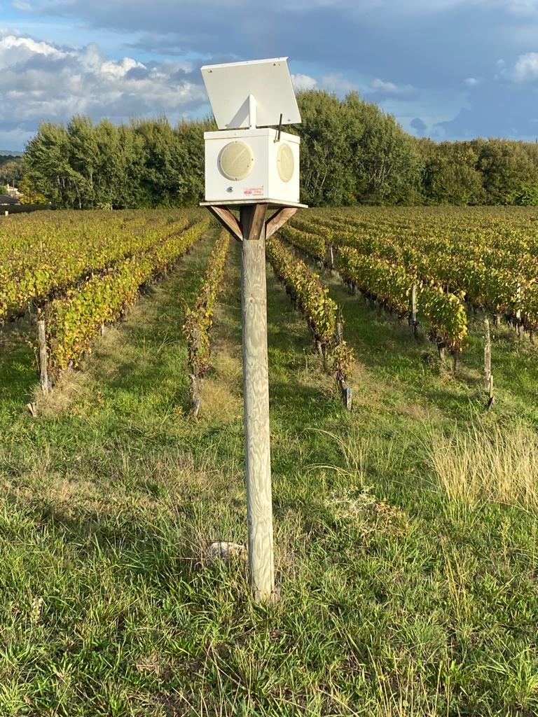 vins-pessac-leognan-vin-pessac-leognan-chateau-lafargue-visite-chai-chais-vigne-vignes-vignoble-vin-blanc-vin-rouge-grand-cru-classe-de-graves-29